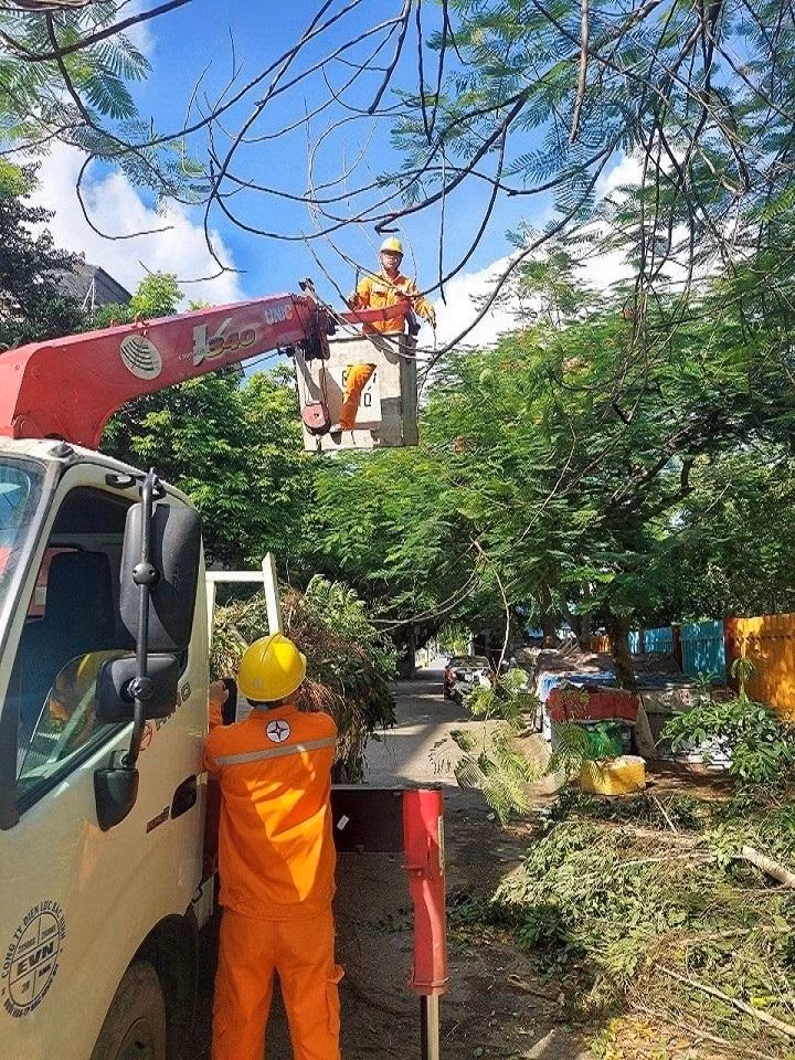 Công nhân Điện lực Thành phố Bắc Ninh cắt tỉa cành cây đảm bảo hành lang an toàn lưới điện