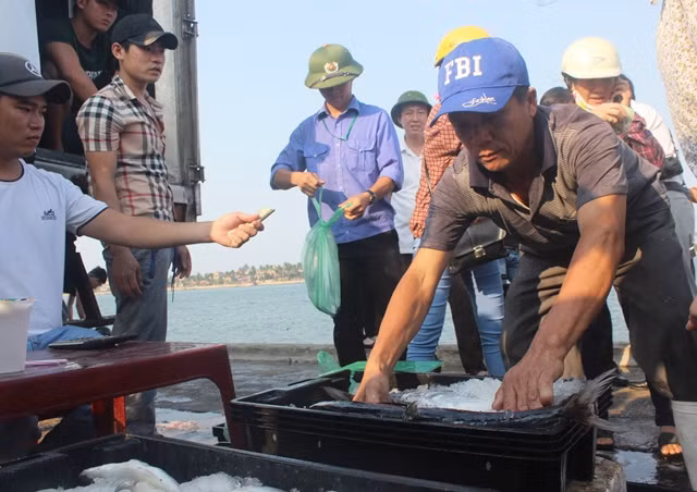 Cá biển đánh bắt xa bờ được kiểm chứng an toàn, tiêu thụ rất tốt. (Ảnh: Thủy Phan) Cá biển đánh bắt xa bờ được kiểm chứng an toàn, tiêu thụ rất tốt. (Ảnh: Thủy Phan)