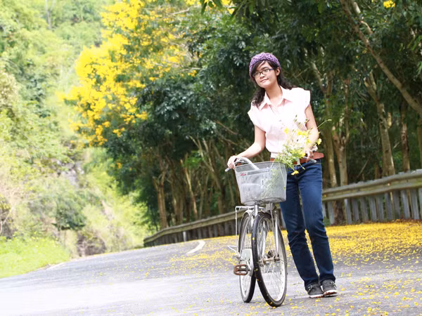 Con đường trải đầy hoa điệp vàng, dẫn vào tháp Pongour (Đà Lạt). Nó hút hồn không ít các bạn trẻ khi qua đây. Con đường trải đầy hoa điệp vàng, dẫn vào tháp Pongour (Đà Lạt). Nó hút hồn không ít các bạn trẻ khi qua đây.