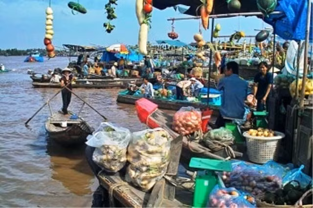Nhiều tiểu thương ở đây cho biết: Lượng rắn năm nay khá nhiều, một năm chỉ xuất hiện trong những tháng mùa nước nổi kéo dài từ 3-4 tháng là dứt điểm.