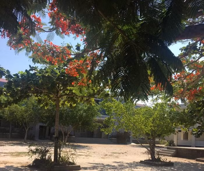 Giáo viên có phải trực trường trong thời gian nghỉ hè? (Ảnh minh họa: ctv). Giáo viên có phải trực trường trong thời gian nghỉ hè? (Ảnh minh họa: ctv).