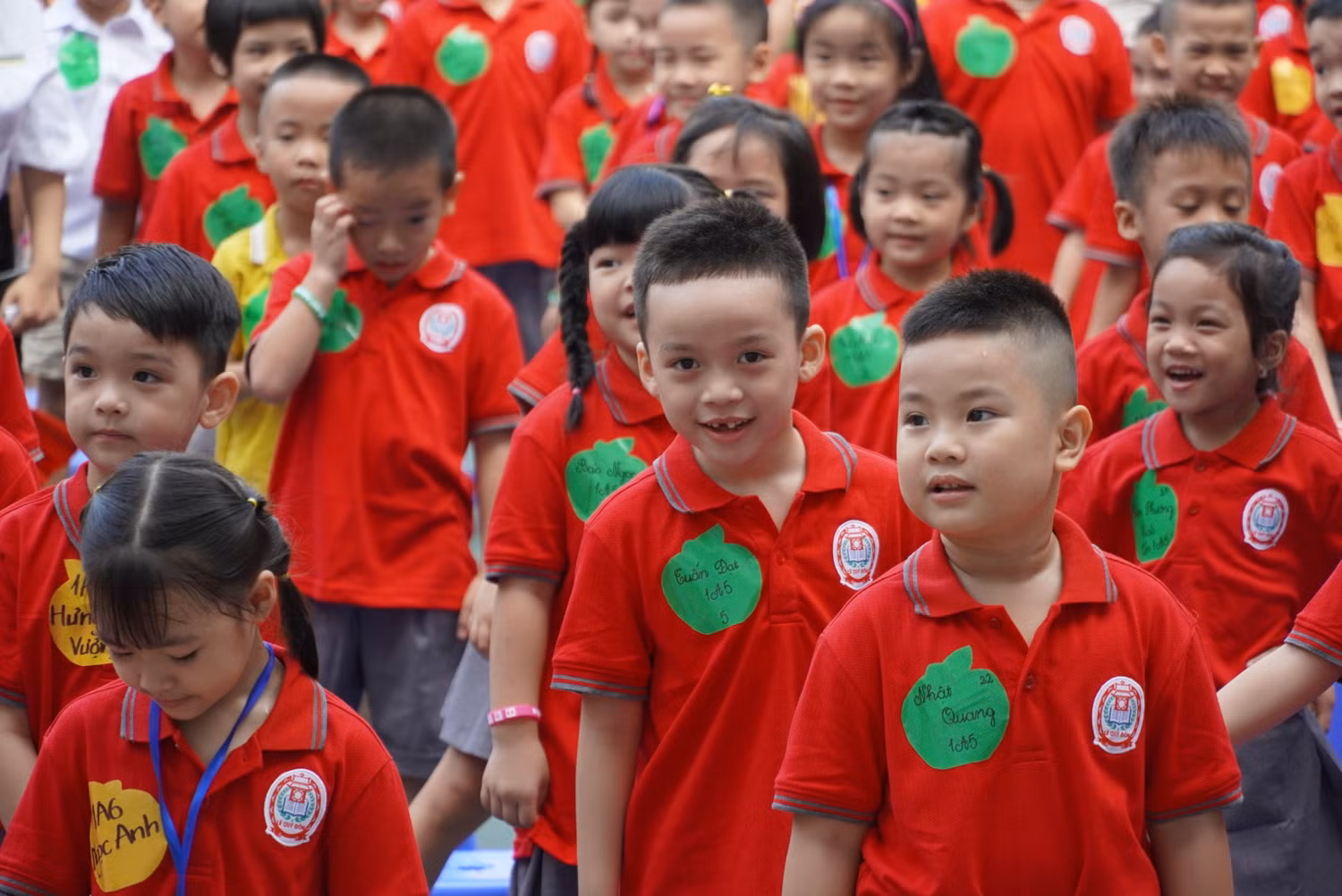 Trường Tiểu học Lê Quý Đôn công bố thời gian phát hành hồ sơ tuyển sinh lớp 1 với 12 lớp từ 11/02/2022 đến khi đủ chỉ tiêu (ảnh: NTCC)