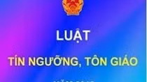 Bộ Ngoại giao Mỹ xuyên tạc sự thật về Việt Nam ảnh 2