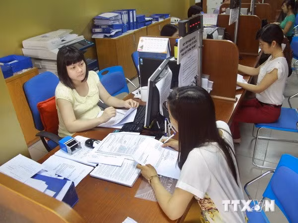Hướng dẫn, tư vấn nộp thuế tại Cục thuế thành phố Hà Nội. (Ảnh: Hoàng Hùng/TTXVN)