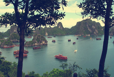 Ngày 21 tháng 12 năm 1991 Chính phủ Việt Nam cho phép xây dựng hồ sơ về cảnh quan vịnh Hạ Long để trình Hội đồng Di sản Thế giới xét duyệt di sản thiên nhiên thế giới. Năm 1993, hồ sơ khoa học về vịnh Hạ Long được hoàn tất và chuyển đến UNESCO để xem xét. Trong quá trình hoàn chỉnh hồ sơ, UNESCO lần lượt cử các đoàn chuyên gia đến Quảng Ninh khảo sát, hướng dẫn, nghiên cứu, thẩm định hồ sơ tại chỗ. Hồ sơ vịnh Hạ Long được chấp nhận đưa vào xem xét tại hội nghị lần thứ 18 của Hội đồng Di sản Thế giới. Ngày 17 tháng 12 năm 1994, trong kỳ họp thứ 18 tại Phuket, Thái Lan, Ủy ban Di sản Thế giới đã công nhận vịnh Hạ Long vào danh mục di sản thiên nhiên thế giới với giá trị ngoại hạng toàn cầu về mặt thẩm mĩ (tiêu chí vii), theo tiêu chuẩn của Công ước Quốc tế về bảo vệ Di sản tự nhiên và văn hóa của thế giới (Ảnh: Internet).