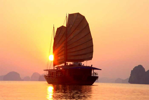 Sự kết hợp của môi trường, khí hậu, địa chất, địa mạo, đã khiến vịnh Hạ Long trở thành quần tụ của đa dạng sinh học bao gồm hệ sinh thái rừng kín thường xanh mưa ẩm nhiệt đới và hệ sinh thái biển và ven bờ với nhiều tiểu hệ sinh thái. 14 loài thực vật đặc hữu và khoảng 60 loài động vật đặc hữu đã được phát hiện trong số hàng ngàn động, thực vật quần cư tại Vịnh (Ảnh: Internet).
