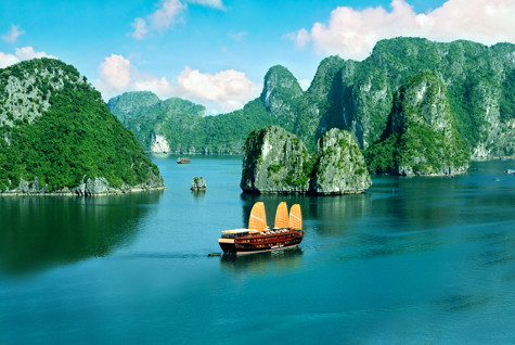 Sự kết hợp của môi trường, khí hậu, địa chất, địa mạo, đã khiến vịnh Hạ Long trở thành quần tụ của đa dạng sinh học bao gồm hệ sinh thái rừng kín thường xanh mưa ẩm nhiệt đới và hệ sinh thái biển và ven bờ với nhiều tiểu hệ sinh thái. 14 loài thực vật đặc hữu và khoảng 60 loài động vật đặc hữu đã được phát hiện trong số hàng ngàn động, thực vật quần cư tại Vịnh (Ảnh: Internet).