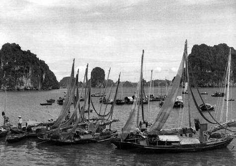 Vùng di sản trên vịnh Hạ Long được thế giới công nhận (vùng lõi) có diện tích 434km², như một hình tam giác với ba đỉnh là đảo Đầu Gỗ (phía Tây), hồ Ba Hầm(phía Nam) và đảo Cống Tây (phía Đông), bao gồm 775 đảo với nhiều hang động, bãi tắm. Vùng kế bên (vùng đệm), là di tích danh thắng quốc gia đã được bộ Văn hóa Thông tin Việt Nam xếp hạng từ năm 1962. Địa hình Hạ Long là đảo, núi xen kẽ giữa các trũng biển, là vùng đất mặn có sú vẹt mọc và những đảo đá vôi vách đứng tạo nên những vẻ đẹp tương phản, kết hợp hài hòa, sinh động các yếu tố: đá, nước và bầu trời (Ảnh: Internet).