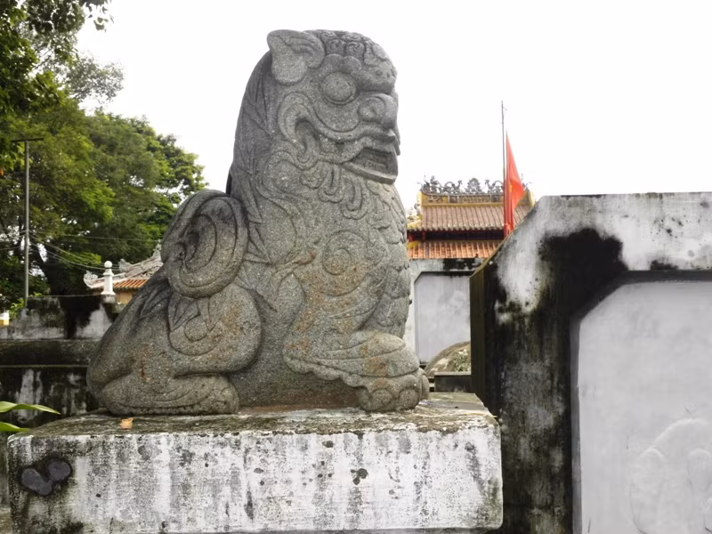 Và vẻ uy nghi của con sư tử cái.