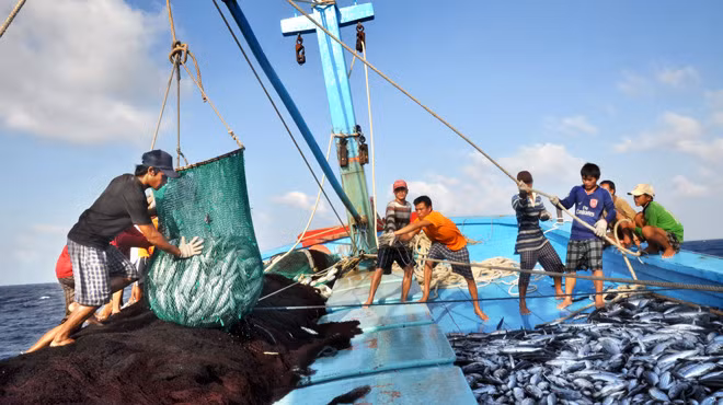 Với một loạt chính sách ưu đãi mới, ngư dân sẽ yên tâm đánh bắt xa bờ. Ảnh: TTO.