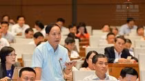 "Kê khai tài sản không trung thực nên cách chức, dừng bổ nhiệm" ảnh 3