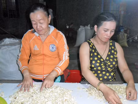 Chị Phượng (bên trái) đang lựa hạt điều tại Cơ sở chế biến hạt điều Kim Chi - Ảnh: Xuân Bình