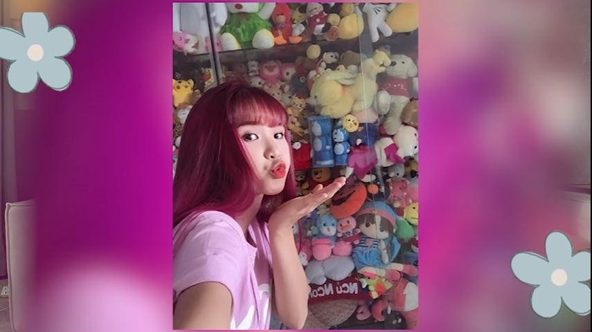 Khởi My kể lại việc làm riêng một cái tủ kệ để trưng bày gấu bông do fan tặng Khởi My kể lại việc làm riêng một cái tủ kệ để trưng bày gấu bông do fan tặng