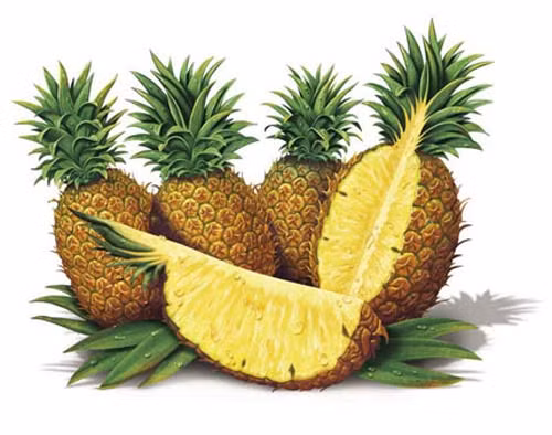 Được biết, các enzym bromelain có trong dứa giúp kích thích tiêu hóa. Bên cạnh đó dứa cũng được coi là thực phẩm làm giảm bớt buồn bã, tốt cho dạ dày và giảm chứng ợ nóng. Xem thêm: Cảnh báo chị,em nội trợ: độc tố nguy hiểm "ẩn mình" trong thực phẩm / Hoa Ngọc Lan - "Thầy thuốc" chữa bệnh hiệu quả, bạn đã biết?