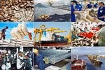 Cập nhật các kịch bản tăng trưởng, đối sách ứng phó dịch bệnh Covid-19