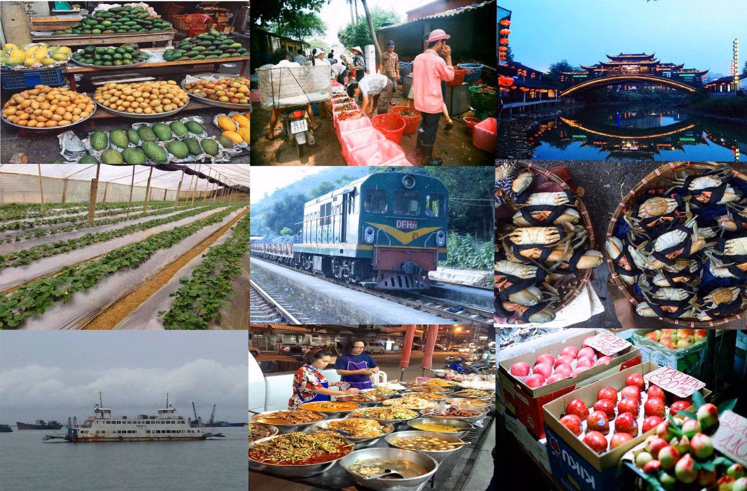 Ảnh minh họa: Cổng Thông tin Bộ Kế hoạch và Đầu tư.