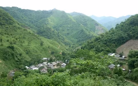 Ky la vuot dao nung, ngam lua... duoi benh