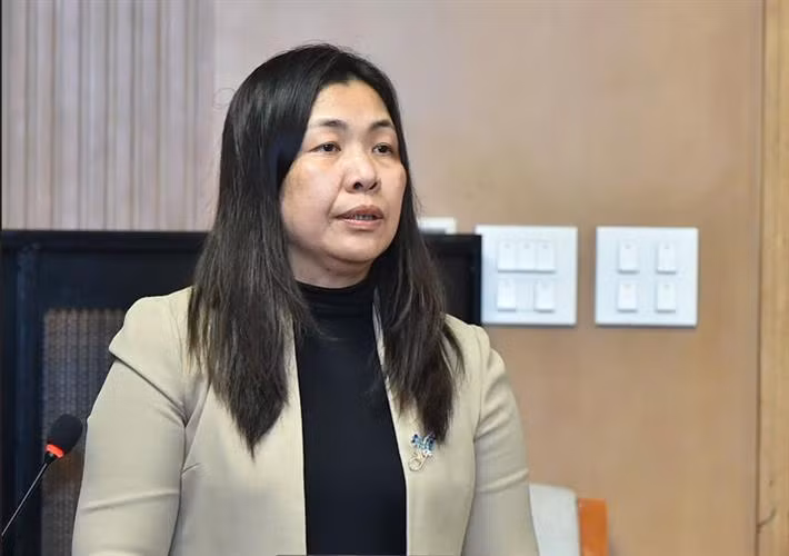 Phó Vụ trưởng Vụ giáo dục đại học Nguyễn Thị Thu Thủy báo cáo tại phiên họp