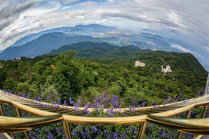 Vườn hoa Le Jardin D’Amour của khu du lịch Bà Nà Hills.