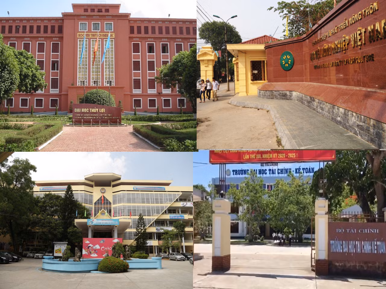 Kết luận của Thanh tra Chính phủ cho biết, trong giai đoạn 2014 - 2018, Học viện Nông nghiệp Việt Nam và Trường đại học Thủy lợi thuộc Bộ Nông nghiệp và Phát triển nông thôn tuyển sinh vượt chỉ tiêu, Học viện Tài Chính và Trường Đại học Tài chính - Kế toán thuộc Bộ Tài chính chưa được Bộ này phê duyệt Chiến lược phát triển. Ảnh chụp từ website các trường