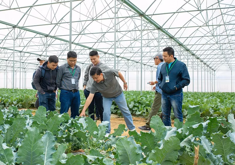 Các hộ nông dân tham quan và học tập tại nông trường VinEco Các hộ nông dân tham quan và học tập tại nông trường VinEco