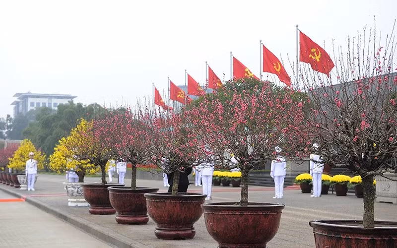 Hoa đào và hoa mai rực rỡ tại Quảng trường Ba Đình. Ảnh: ĐĂNG KHOA/ Nhandan.com.vn