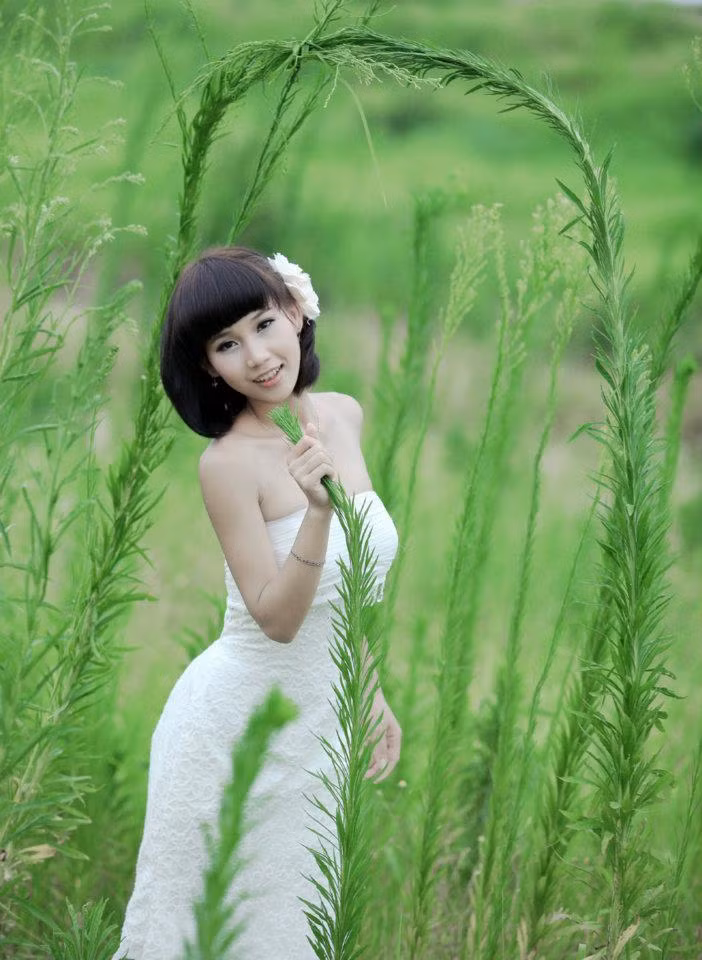 <<HOA KHÔI CÁC TRƯỜNG ĐẠI HỌC <<NGÔI SAO HỌC ĐƯỜNG