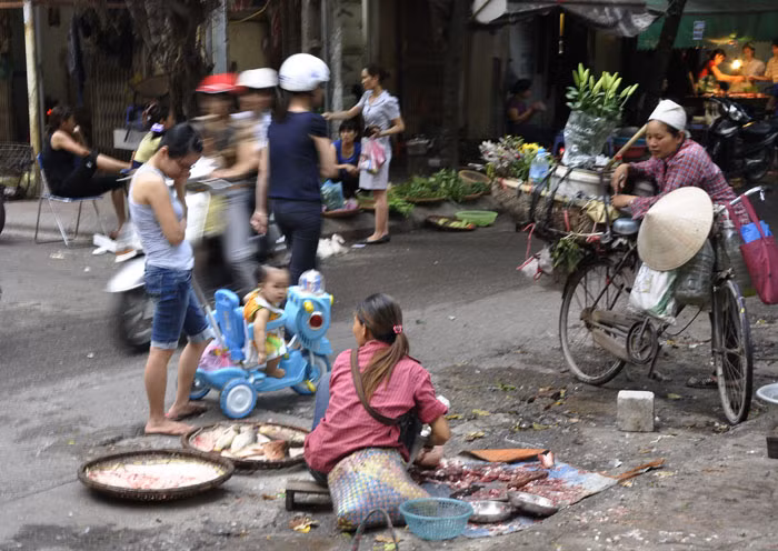 Mổ cá…