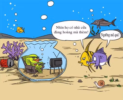 Ước mơ "nho nhỏ" của các loài sống dưới nước.