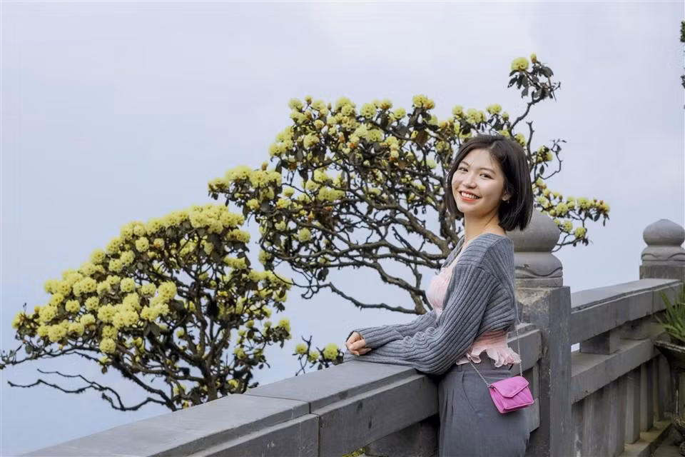 Giữa mênh mang trời đất và không gian tĩnh lặng của đỉnh thiêng Fansipan, du khách được tận hưởng những giây phút tản bộ sống chậm bình yên và chạm tay vào những bông hoa Đỗ quyên quý hiếm bậc nhất của núi rừng Tây Bắc. Đây có lẽ là trải nghiệm thú vị, khó quên nhất đối với những du khách có cơ hội đặt chân đến nơi này đúng vào mùa Đỗ quyên.