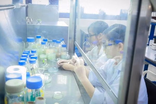 Sinh viên tham gia nghiên cứu khoa học.