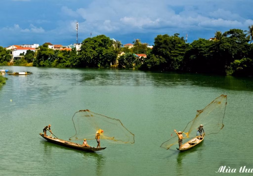 Điệu vũ hòa nhịp một cách đồng điệu