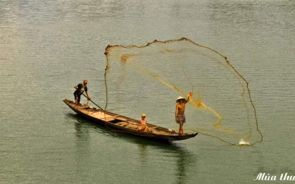 Tung chài...