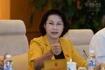 Formosa nhập hàng trăm tấn bùn bô-xít để làm gì? ảnh 3