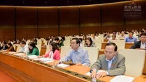 Bộ trưởng Nguyễn Thái Bình nói "tất tần tật" những gì yếu kém ảnh 2 Bộ trưởng Nguyễn Thái Bình nói "tất tần tật" những gì yếu kém ảnh 2