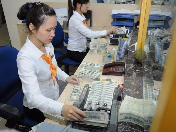 Ngân hàng Nhà nước cho biết tiếp tục ngăn chặn tâm lý đầu cơ ngoại tệ. ảnh: TTXVN.