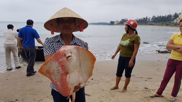 Thủ tướng Chính phủ chỉ đạo về khắc phục sự cố giao thông do mưa lũ ảnh 2 Thủ tướng Chính phủ chỉ đạo về khắc phục sự cố giao thông do mưa lũ ảnh 2