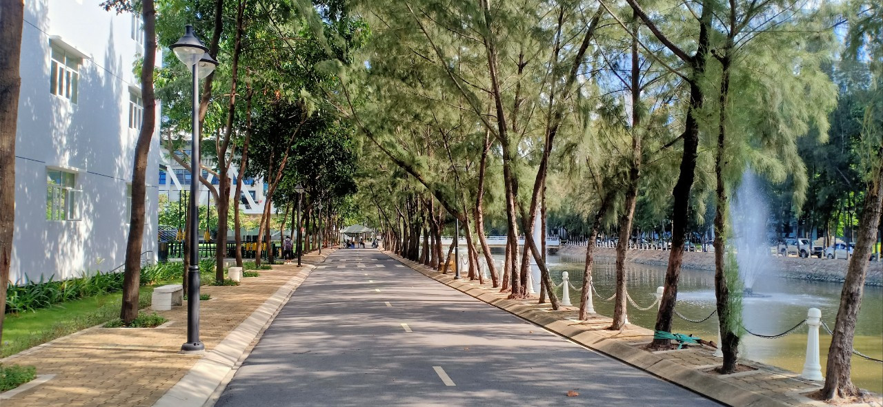 Bãi sình lầy thủa nào nhường chỗ cho những hàng cây xanh rợp bóng (Ảnh:V/N)