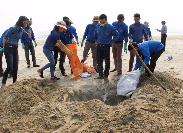 Sáng 27/4, đoàn thanh niên của Viettel Quảng Bình đi gom và đào hố chôn cá chết ở bãi tắm Đá Nhảy. Nhiều người cũng không chịu nổi vì mùi hôi thối bốc lên. (Ảnh: Thủy Phan) Sáng 27/4, đoàn thanh niên của Viettel Quảng Bình đi gom và đào hố chôn cá chết ở bãi tắm Đá Nhảy. Nhiều người cũng không chịu nổi vì mùi hôi thối bốc lên. (Ảnh: Thủy Phan)