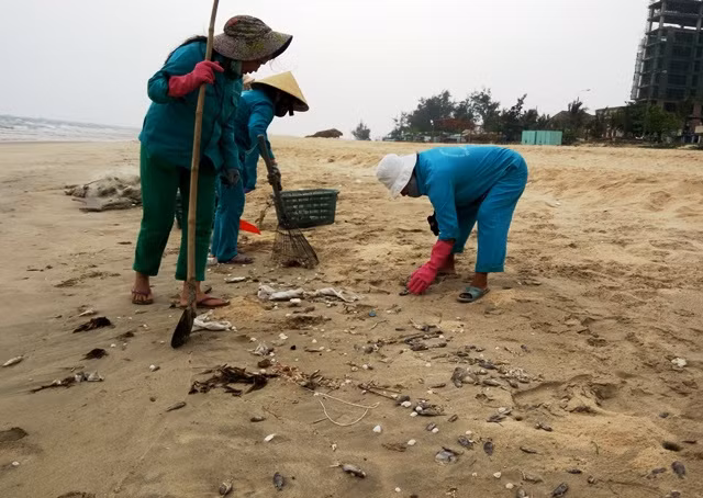 Ngư dân khóc, lái buôn thất thu vì không ai dám ăn cá biển ảnh 6