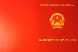 Cán bộ huyện tôi phần lớn là bằng tại chức ảnh 2