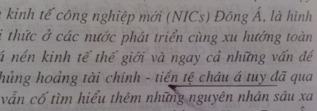 Nhiều danh từ riêng như tên địa danh Châu Á không được viết hoa. Nhiều danh từ riêng như tên địa danh Châu Á không được viết hoa.