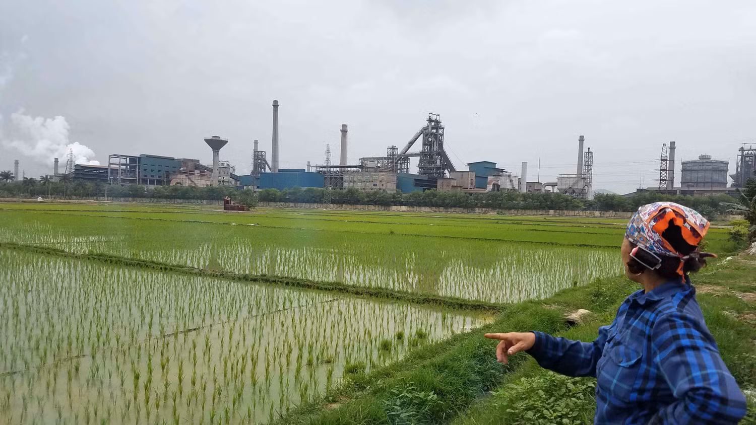 Nhà máy thép Hoà Phát nằm kề bên cánh đồng, cách khu dân cư một quãng ngắn, ảnh hưởng cuộc sống người dân