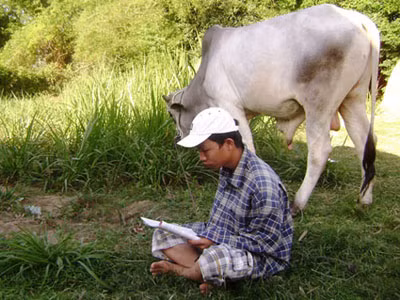 Đi chăn bò nhưng Võ Văn Huy luôn mang theo sách để tự ôn luyện