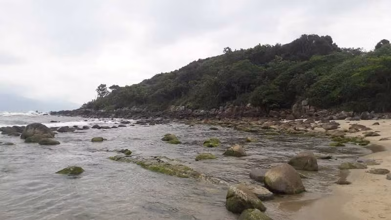 Bên trong hàng rào sắt do chủ đầu tư vây kín là bãi biển đẹp, hoang sơ với nhiều ghềnh đá, rừng cây. Những ngày qua, nơi đây trở thành điểm đến lý tưởng cho các "phượt thủ" và khách du lịch.