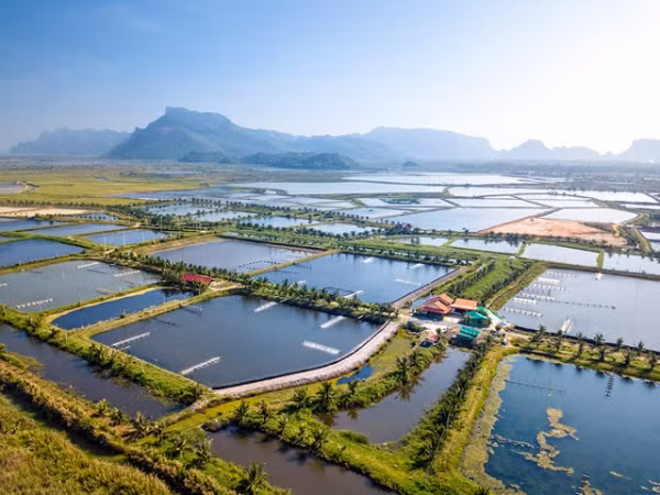 Ảnh minh họa: baochinhphu.vn