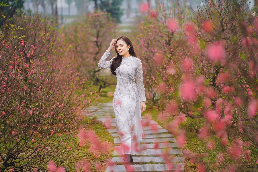 Ngọc Hoàng và các Táo vi hành quên lối về ở “đảo hoa đào” ảnh 9
