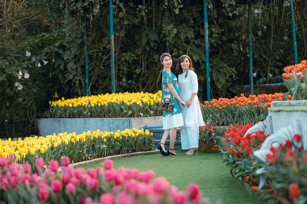 Lễ hội hoa tulip Bà Nà.