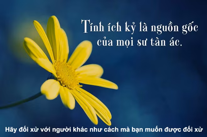 Áp lực sinh ra áp đặt và dễ dẫn đến sai lầm của người thầy ảnh 3