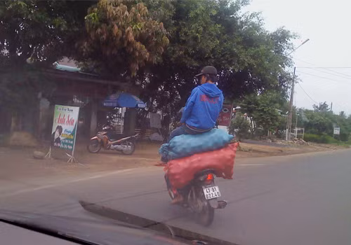 Chụp tại TP. Buôn Mê Thuột - tỉnh Đắc Lắc. Ảnh: Vũ Trọng Phúc.